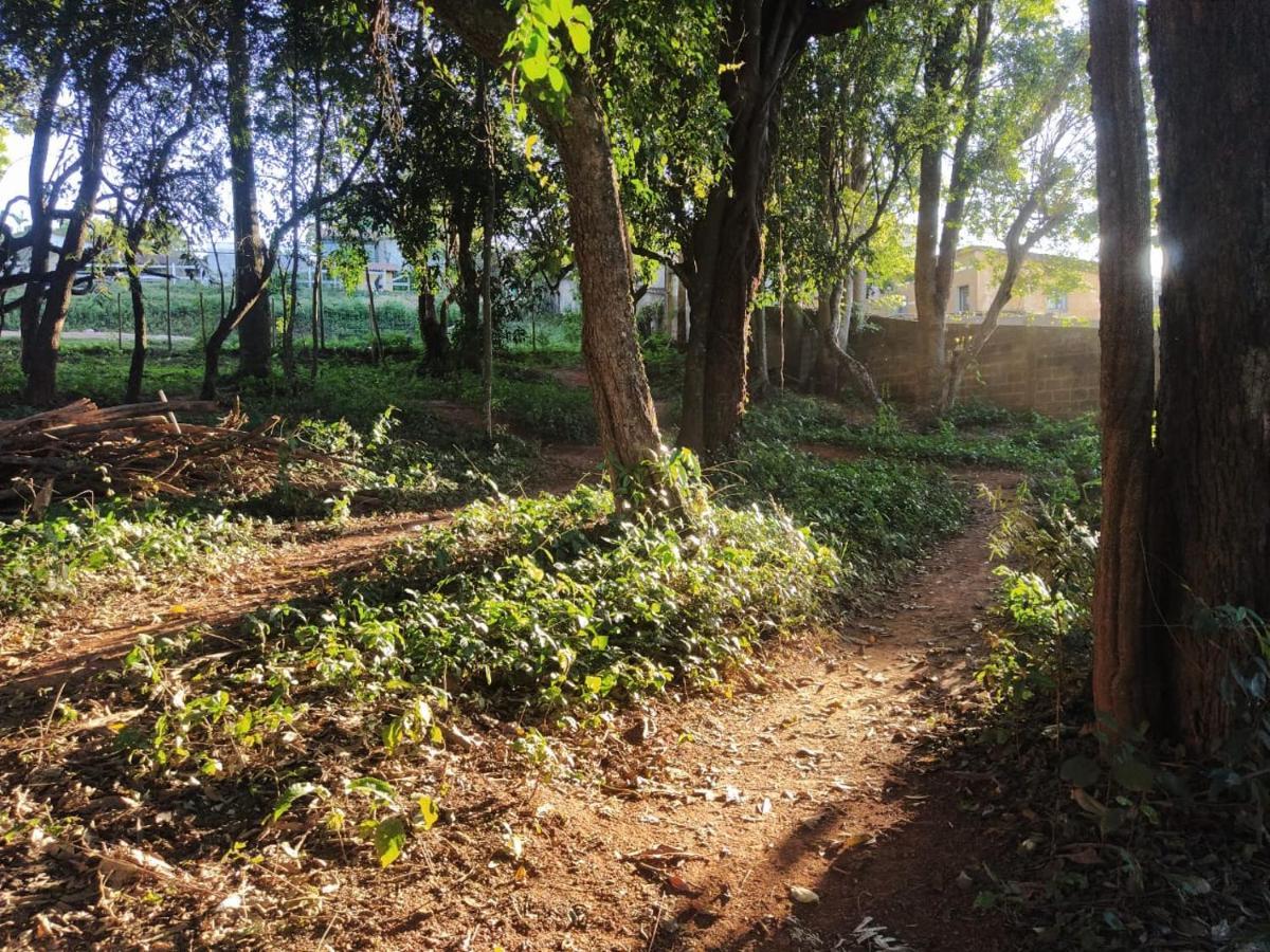 São João del Rei Vereda Bike Park Hotel מראה חיצוני תמונה