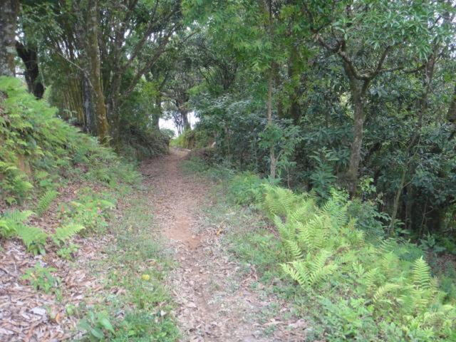 São João del Rei Vereda Bike Park Hotel מראה חיצוני תמונה